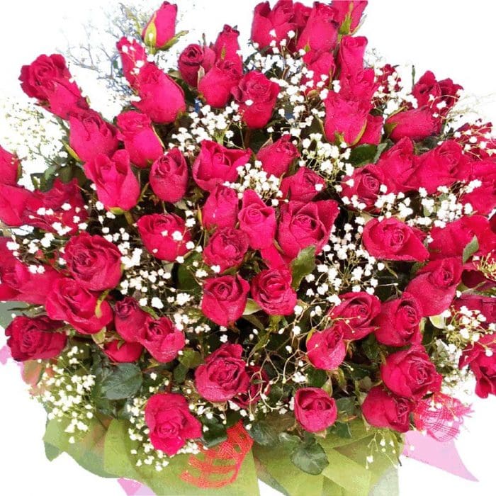 69 Red Roses Bouquet close