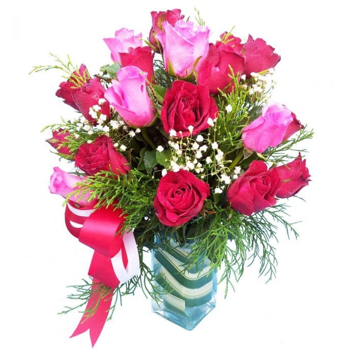 Red & pink Roses in a vase