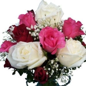 Red, pink & white Roses in a vase, close up