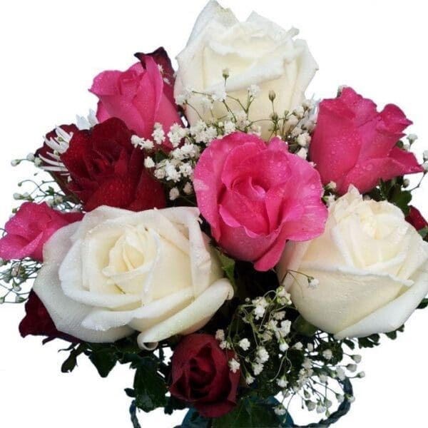 Red, pink & white Roses in a vase, close up