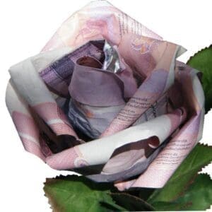 Origami Money Rose, close up