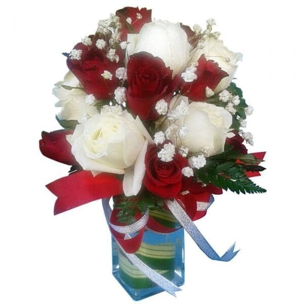 Redand White Roses in a vase