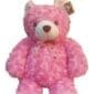 Cute Pink Teddy Bear approximately 40cm high, close up