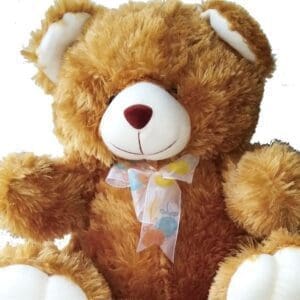 Cute traditional brown Teddy Bear approximately 40cm high close up