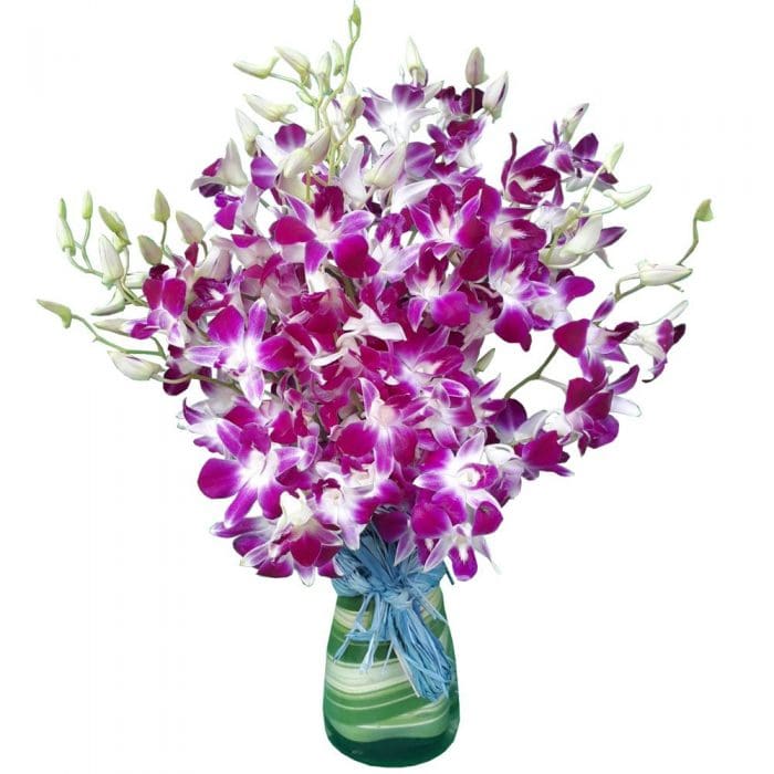 Purple Orchids in a vase