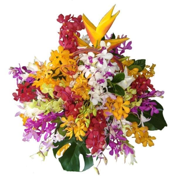 Selection of different orchids and tropical flowers in a basket