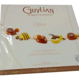 Box of Guylian Opus Chocolate 180 gram, close up